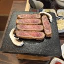 동경규동일산 | 일산 호수공원 맛집 정발산역 로컬타이거 규카츠 주차 정보까지
