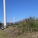 제주국제트레일러닝 36K 2025 이미지