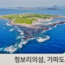 삼화동물병원