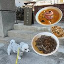 동해시-31 | 동해 묵호 맛집 수희 강아지랑 갈 수 있는 묵호애견동반식당 후기