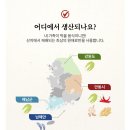 풍산김치