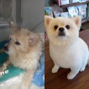 홍제동물병원 이미지