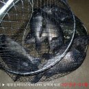 솔하우스 이미지