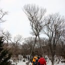 한라산