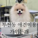가위든개 이미지