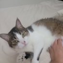 이앤박동물병원 이미지