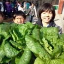 정수초교 이미지