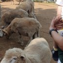 루다목장 이미지