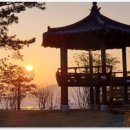 황제 행정사사무소 이미지