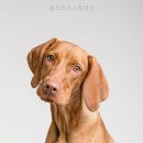 플로라 호스텔 | 플로라호스텔펜션 기준요금이 분명해 편했던 후기