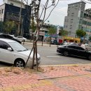 까리노102