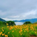 북면생태공원(다목적광장) 이미지