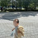 일산 아쿠아플라넷 후기｜4살 쌍둥이와 5시간 놀고도 집에 안 간다고 한 실내 가볼만한곳