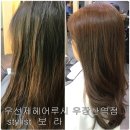 우선제 헤어루시 이미지