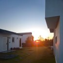 소보리애 이미지