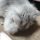 만남헤어�� 이미지