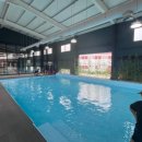 Petshill (펫츠힐) 이미지