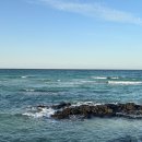 별빛하우스 | 제주 세화 숙소 이디하우스 n카페 저디룸 후기｜무료 별빛투어·조식 포함 독채 숙소