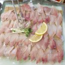 청해 회 수산 이미지