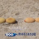 도둔초등학교 이미지
