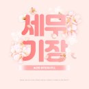 송선예세무회계