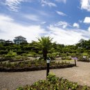 제주허브동산 이미지