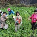 원힐링병원 이미지