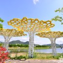 장성어린이공원 이미지