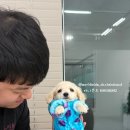 카니훈트 이미지
