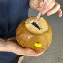 마블피시 | [🇻🇳베트남]모두투어 베트남 여행 내돈내산 후기! (Day1~2)