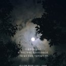 아이러빗 이미지