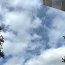 배내골펜션 솔밭휴양림 이미지