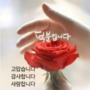 멋진하루 이미지