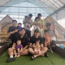 파파하우스