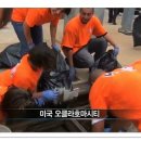 월드클린 이미지