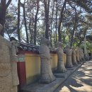평화 | 부산 갈만한 곳 추천, 해동용궁사에서 만난 가장 평화로운 풍경