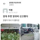 강원대주변 이미지