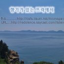 공감 뜨락 이미지