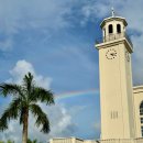 마이티 | 괌 하갓냐 마이티퍼플 아사이볼, 마이티퍼플볼 솔직 후기