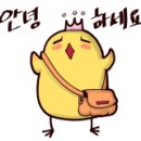 해피카워시 이미지