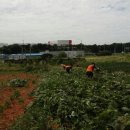 짱구2농장 이미지