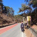 용댕이매운탕 이미지