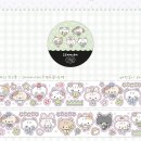 아이오 스튜디오 Daum카페