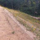 늘푸른아파트 정문입구 옆 이미지