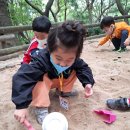 개운산 숲체험🌳🍂 이미지