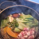 High N PC방 | [호주 워홀] D+119~138 브리즈번 / 포티튜드 밸리 카페, 써니뱅크 카페 투어☕, 호주에서 발리 여행...