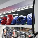 펀치라인복싱 이미지