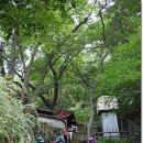 응봉공원4 이미지