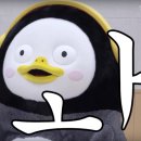 예삐헤어 - 담양군 의병로 122 | 예삐헤어