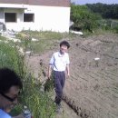 용석농장 Daum카페